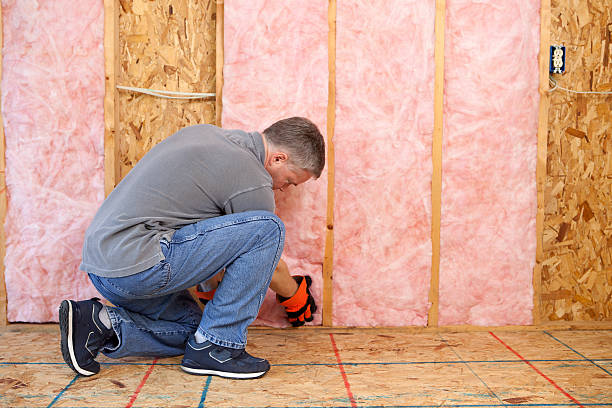 Best Residential Insulation in Clovis, NM